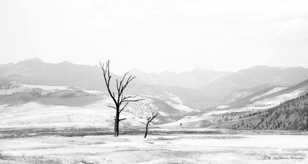 Mammoth Springs 2-7707.jpg Mammoth Springs 2-7707.jpg